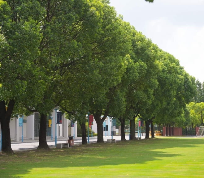 设施图库|上海浦东诺德安达国际学校 - Main Gallery