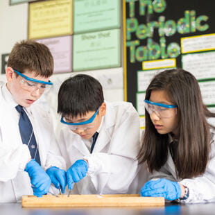 Nord Anglia International School Shanghai, Pudong - 03 - Feature Cards Pattern - RU