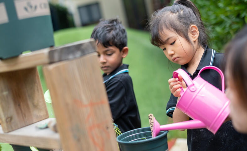 Nord Anglia International School Shanghai, Pudong - 03 - Feature Cards Pattern - RU