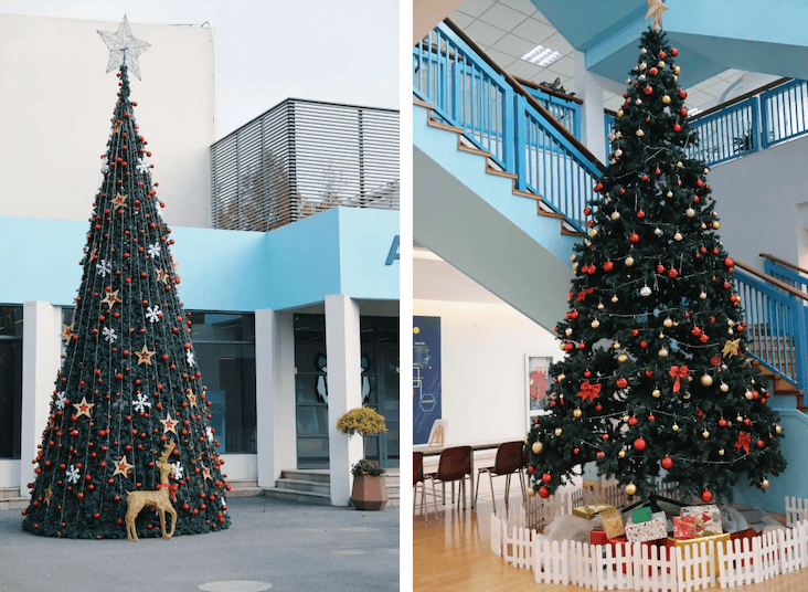 A Wrap for Term One – Merry Christmas! - A Wrap for Term One Merry Christmas
