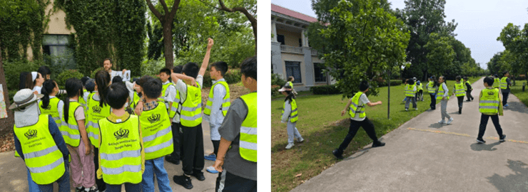 Learning from Nature Exploring Bees - Learning from Nature Exploring Bees