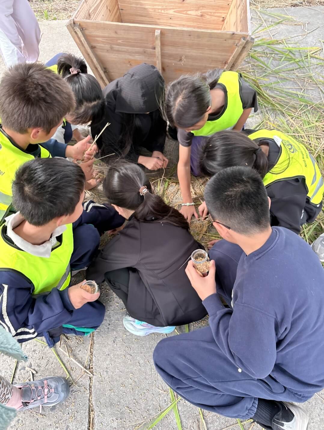 From field to table! - From field to table