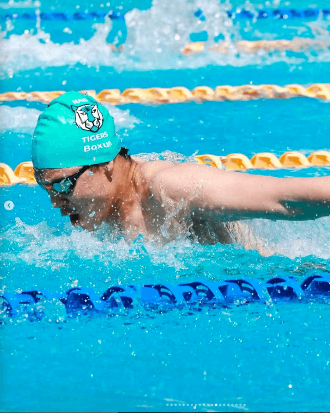 Congratulations to our Tiger Sharks! - Congratulations to our Tiger Sharks