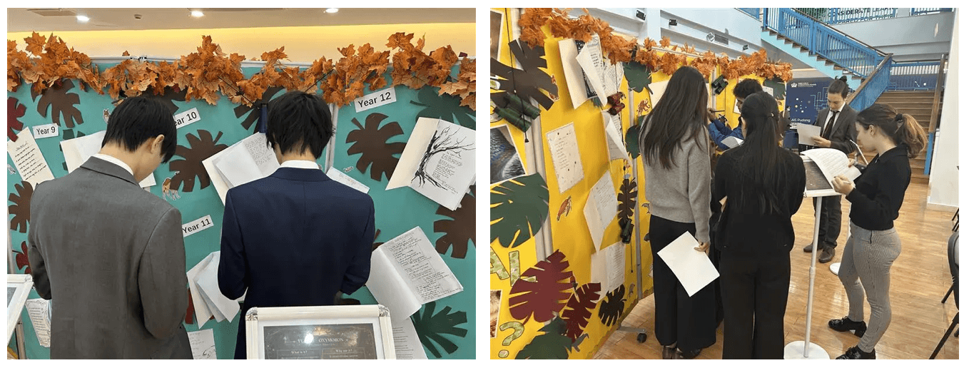 Celebrating the Magic of Stories: A Look Back at Our Book Week - Celebrating the Magic of Stories A Look Back at Our Book Week