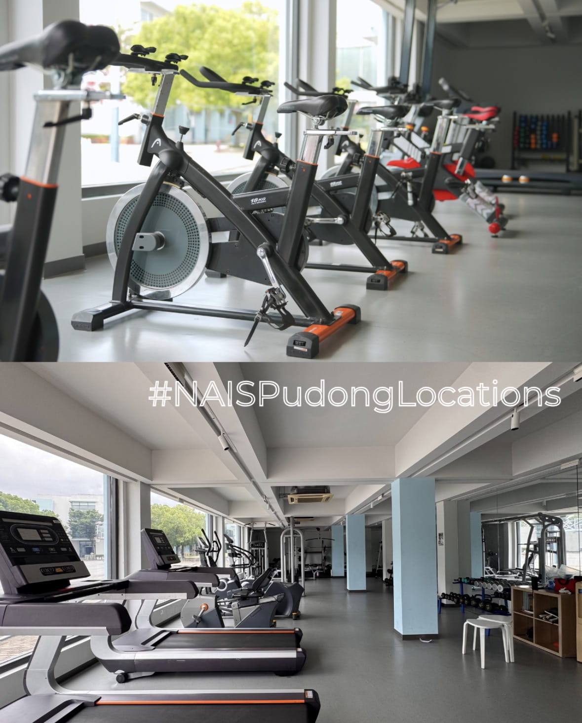#NAISPudongLocations — this time, we're taking you to our very own gym! 🏋️‍♀️ - NAISPudong Locations