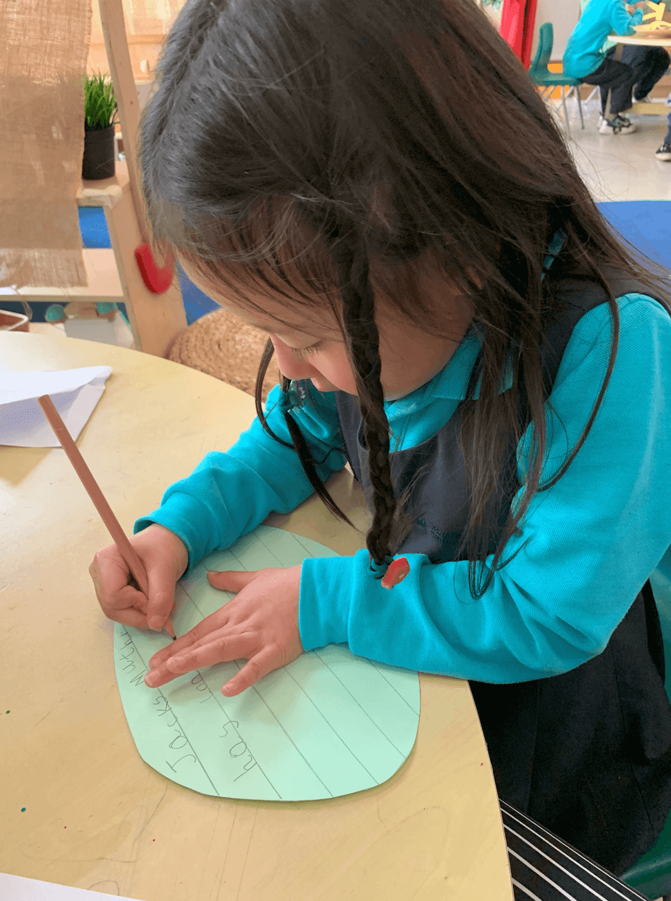 Student Progress at NAIS Pudong - student progress