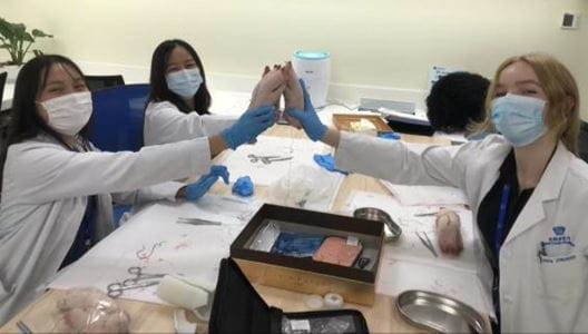 Jessica's ambition to be a doctor - Getting work experience