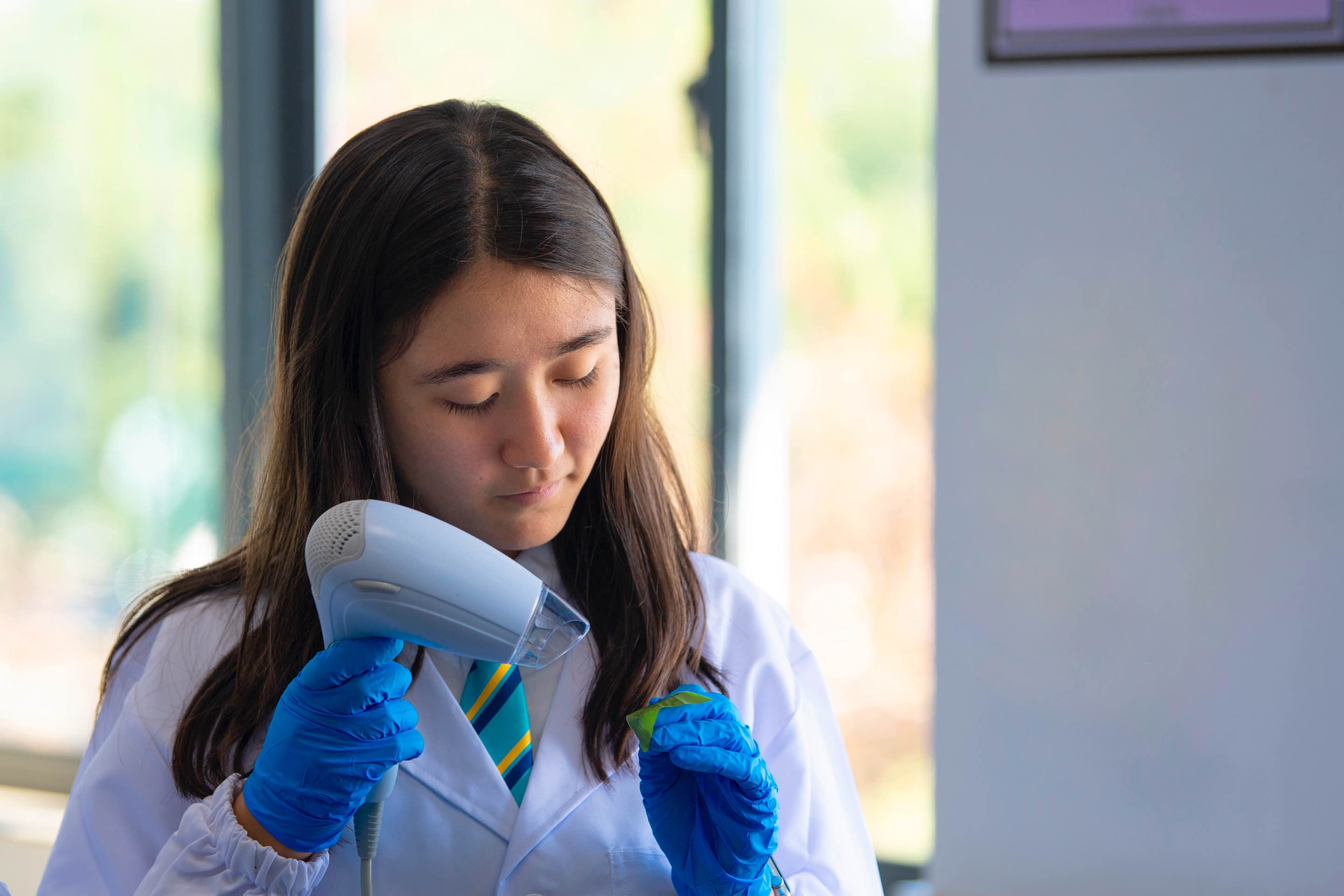 International Baccalaureate Diploma Programme | NAIS Pudong - Visual Time Line Tabs