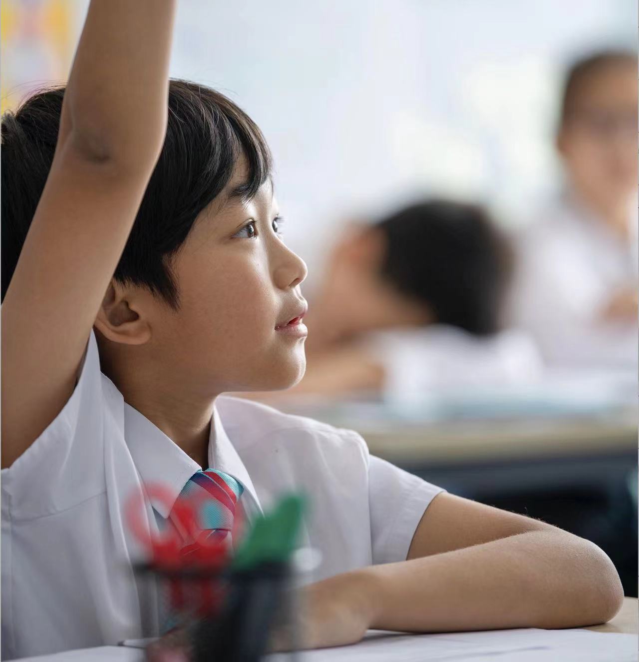 Nord Anglia International School Shanghai, Pudong - 051 - Feature Cards Pattern