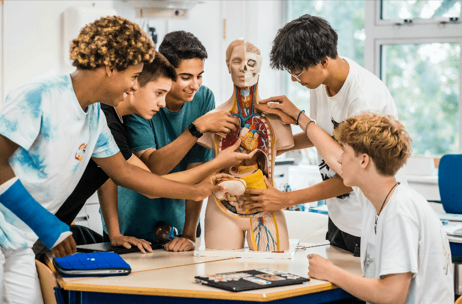 Nord Anglia International School Rotterdam (NAISR) | Ages 3-18 - Feature Cards Pattern