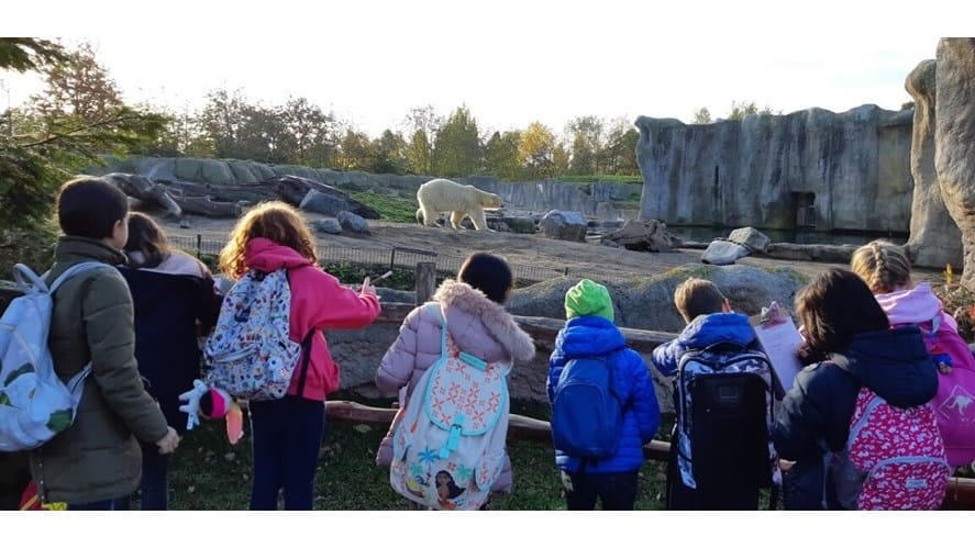 What Is the IPC Curriculum? | NAIS Rotterdam-the-international-primary-curriculum-ipc-IPC Zoo Field Trip 1