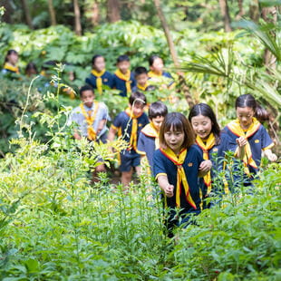 regional expeditions student activities