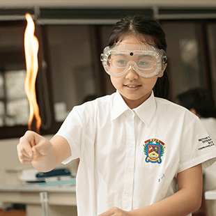 STEAM_com_btc_featurecard_310x310