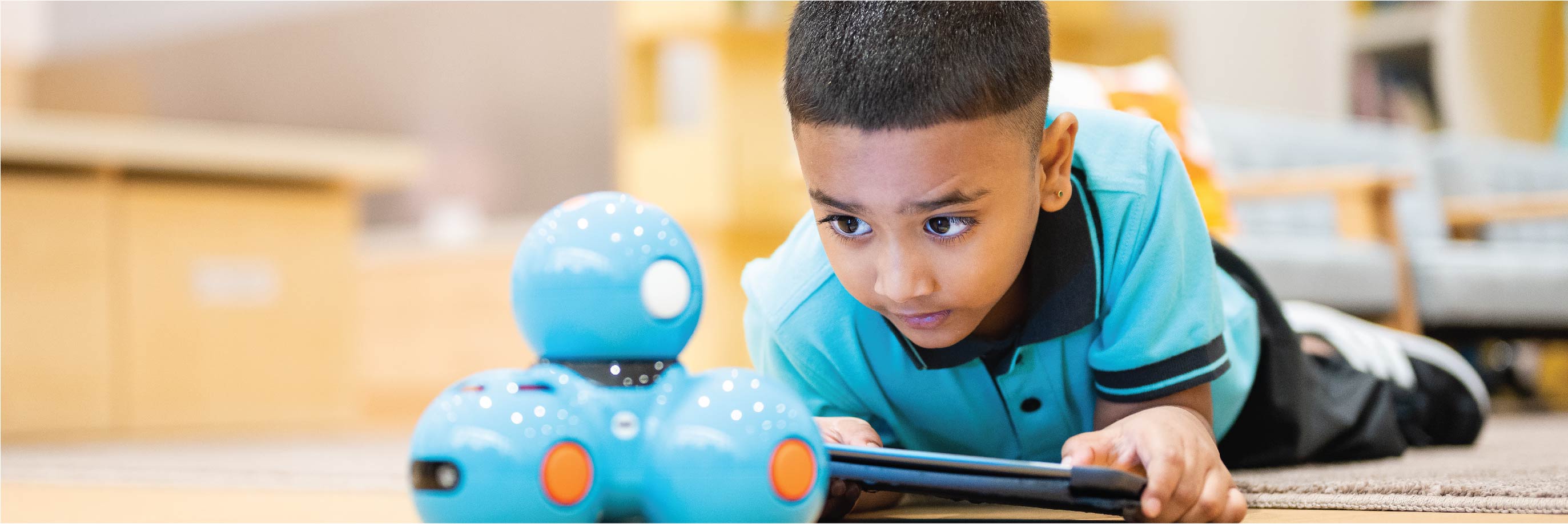 Entry Requirements | Nord Anglia International School Abu Dhabi - Content Page Header