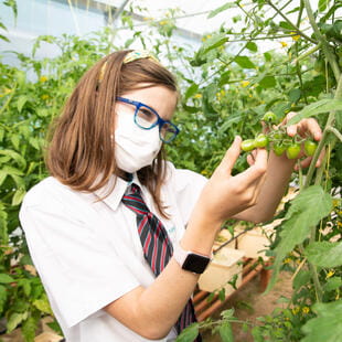 Image_NAISD_Dubai_48