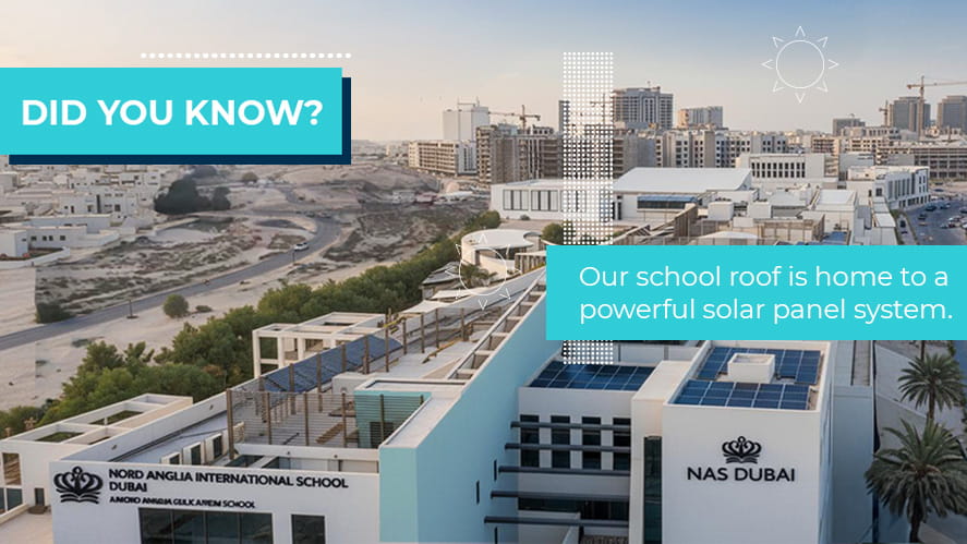 How NAS Dubai Is Powering a Greener Future - How NAS Dubai Is Powering a Greener Future