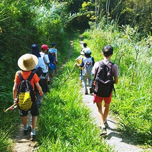 Outstanding Experiences | Nord Anglia School Jakarta - 07 - Feature Cards Pattern - Expeditions