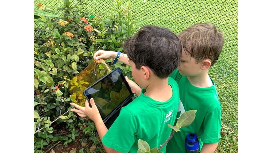 20200117_055541984_iOS