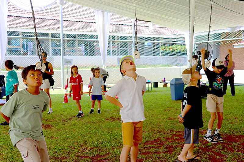 NAS Bazaar 2025 - NAS Bazaar 2025