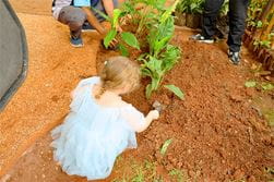 World Childrens Day - World Childrens Day at NAS Jakarta