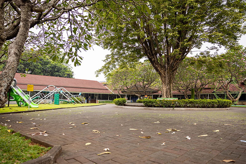 Inside Our Cosy Leafy Campus That Feels Like a Second Home - Inside Our Cosy Leafy Campus That Feels Like a Second Home