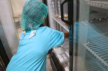 Year Three Chocolate Factory Visit Brings IPC Learning to Life - IPC Learning to Life