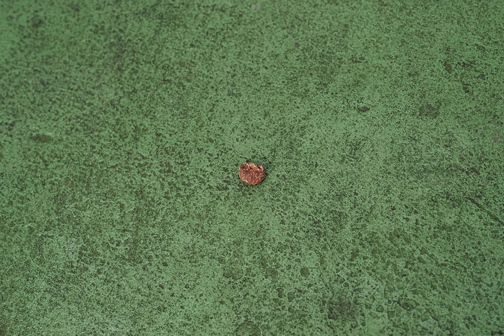 Learning to See the World Through a Creative Lens - Photography Image 2