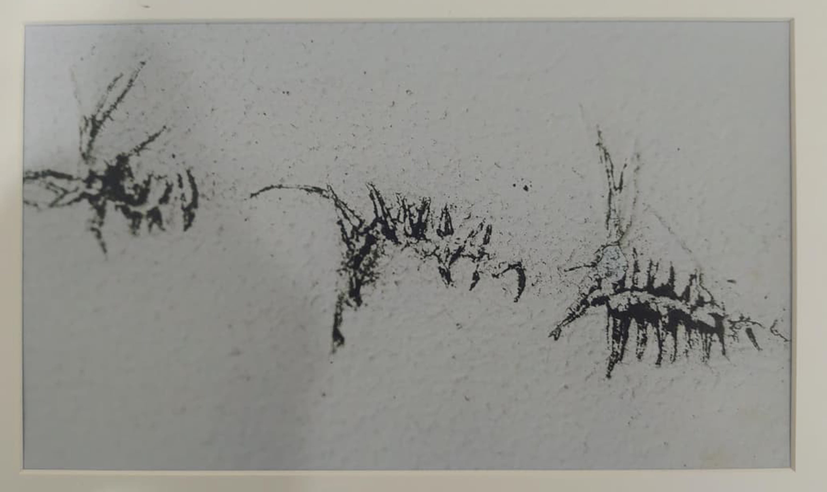 Learning to See the World Through a Creative Lens - Photography Image 2