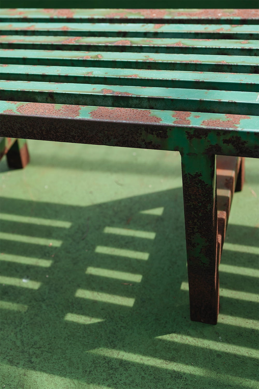 Learning to See the World Through a Creative Lens - Photography Image 2