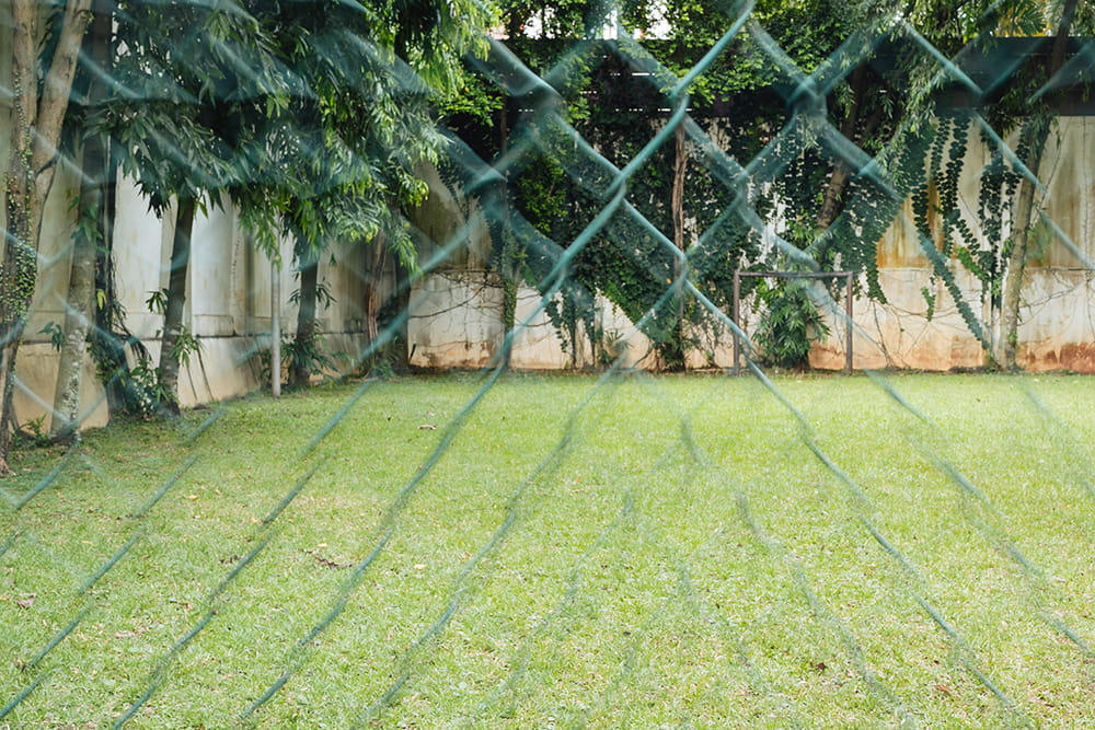 Learning to See the World Through a Creative Lens - Photography Image 2