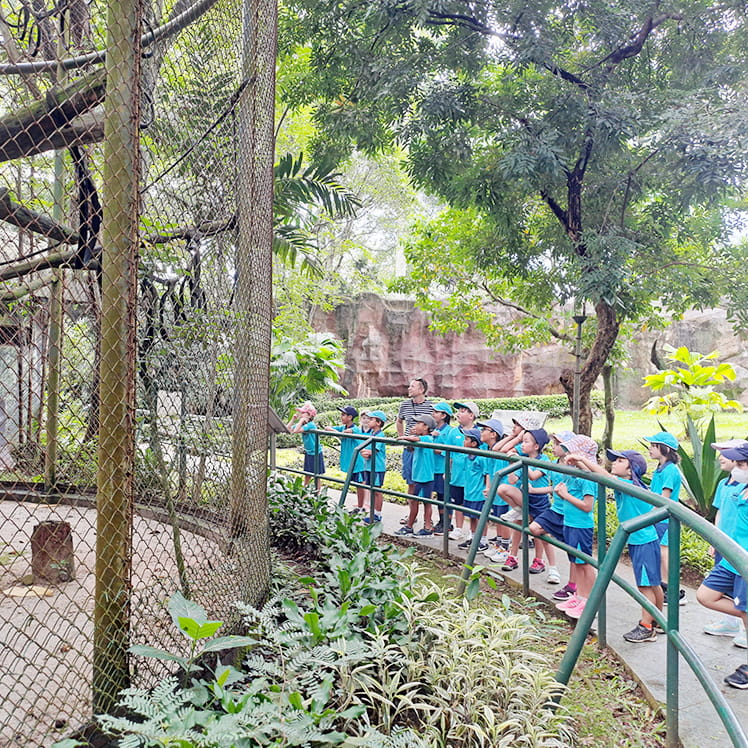 Primary School in Jakarta | Nord Anglia School Jakarta - Small Text And Image 1