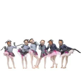 Student Life | North Broward Preparatory School - Feature Cards - US schools - ECAs