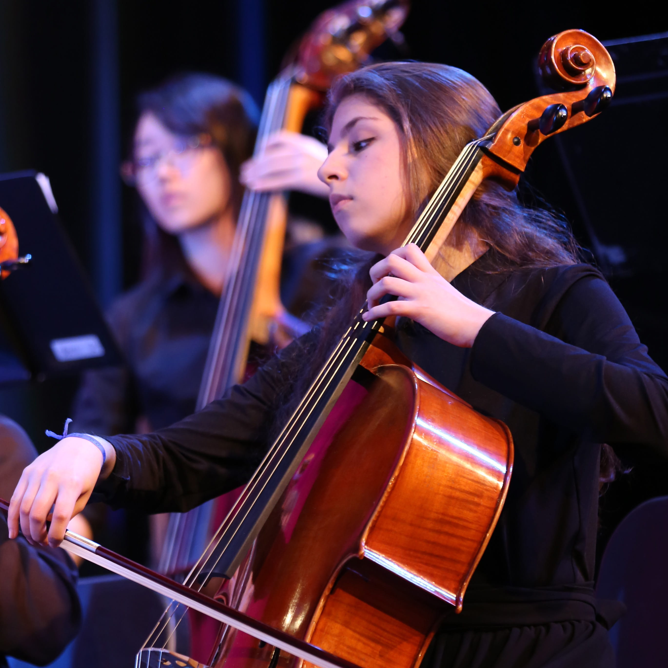 600x600-2016-04-13 orchestra concert vigna_0506