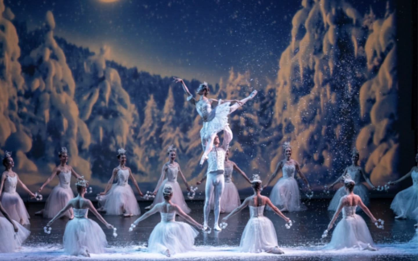 Dance- Art of Classical Ballet - Content Page Header - US schools