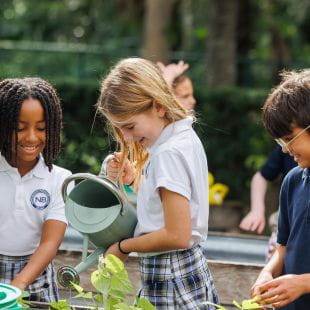 Parent Essentials | North Broward Preparatory School - Feature Cards - clubs and enrichments