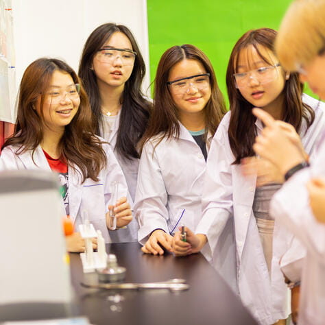 សូមស្វាគមន៍មកកាន់សាលាអន្តរជាតិណេតប្រ៊ីតកម្ពុជា - Small Text And Image - KM