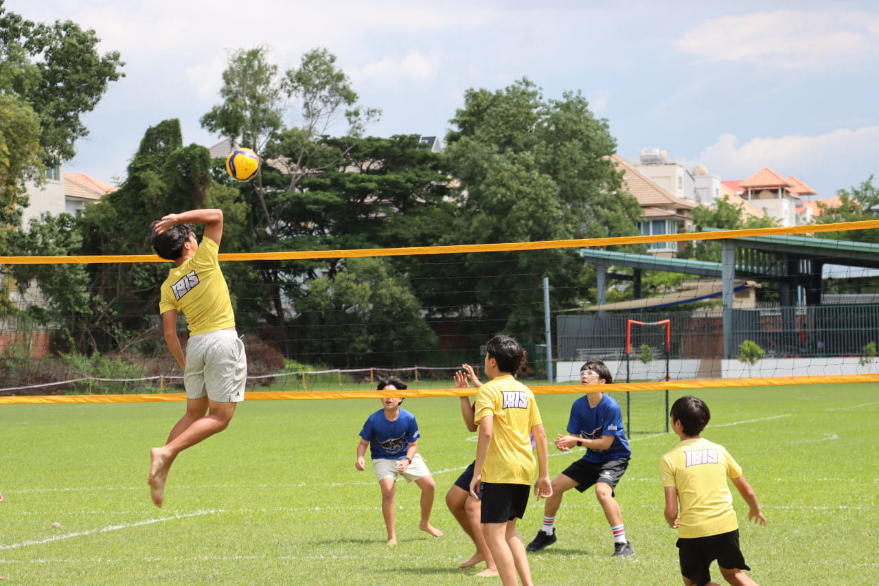 House Volleyball