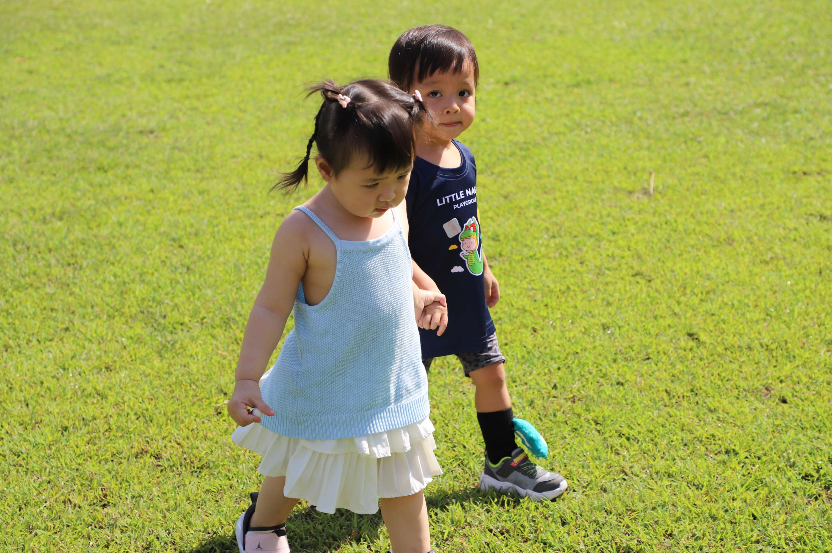 Academic Excellence | Northbridge | Nord Anglia - 04 - visualTimeline WithTags