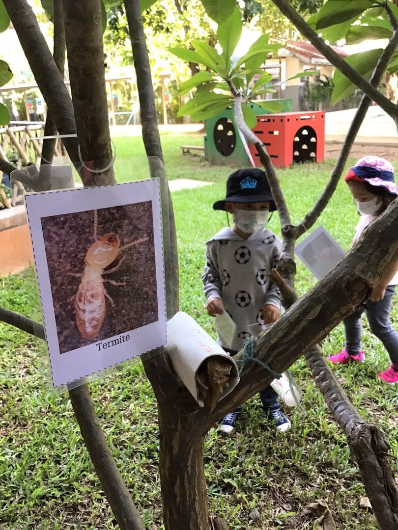 Introducing Global Campus Junior at Northbridge: learning made fun for early years students - introducing-global-campus-junior-at-northbridge-learning-made-fun-for-early-years-students