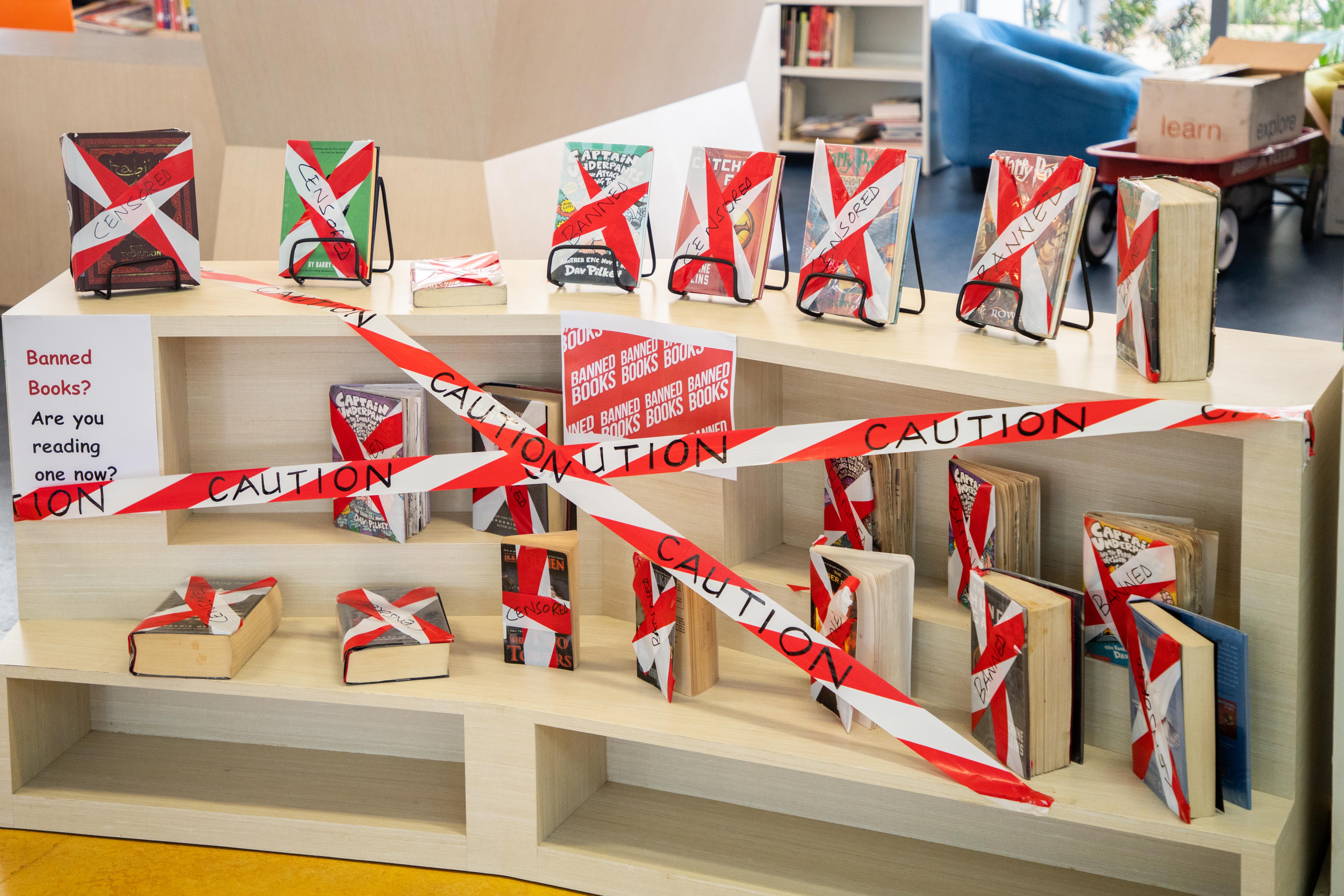 Banned Books3009195