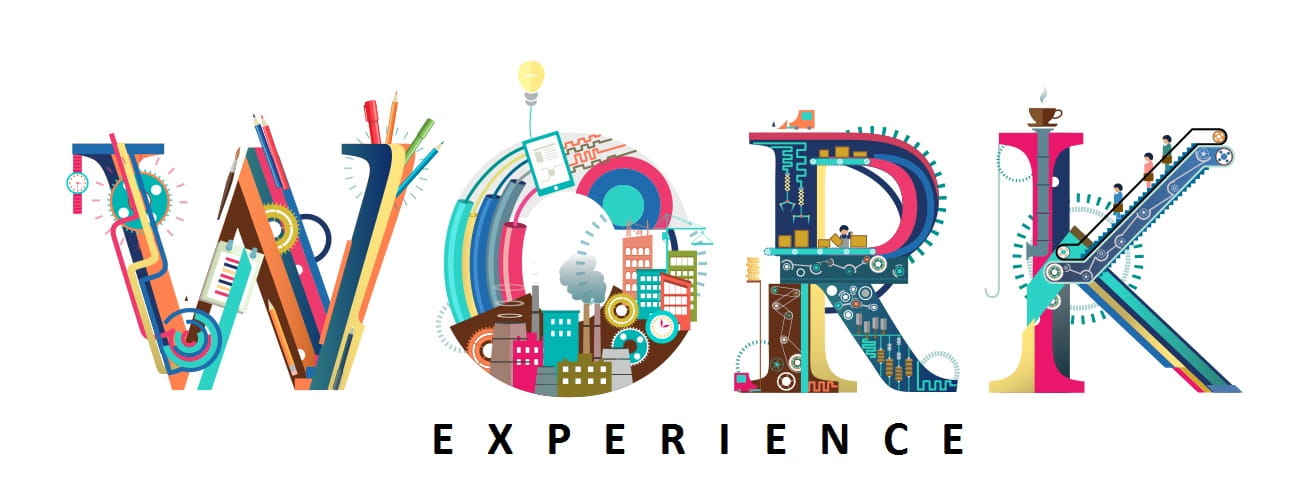 workexperience