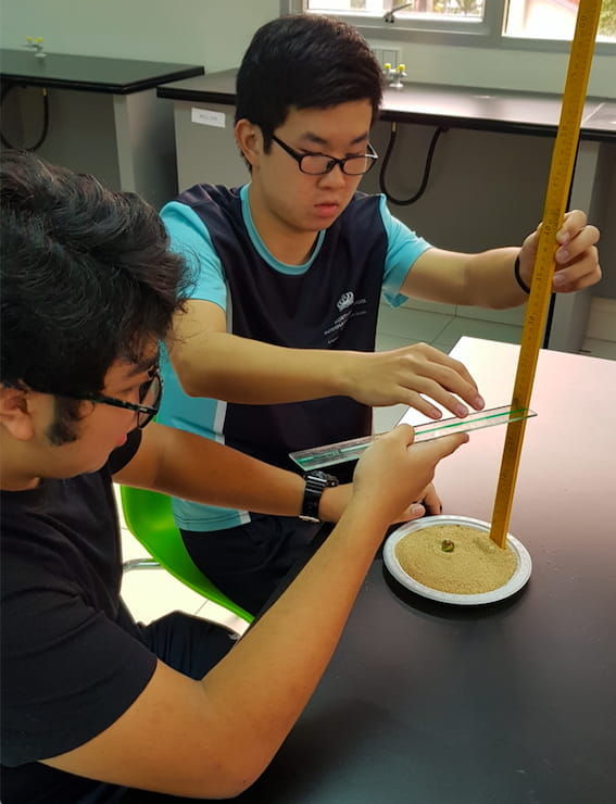 To learn maths at Northbridge, a child must first develop their visual memory and perception - to-learn-maths-at-northbridge-a-child-must-first-develop-their-visual-memory-and-perception