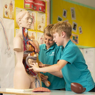 Mezinárodní Základní škola v Praze | 1. stupeň ZŠ | PBIS - Feature Cards Pattern - Curriculum