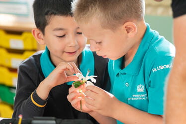 Bilingvní základní škola v Praze | PBIS Prague - Feature Cards Pattern