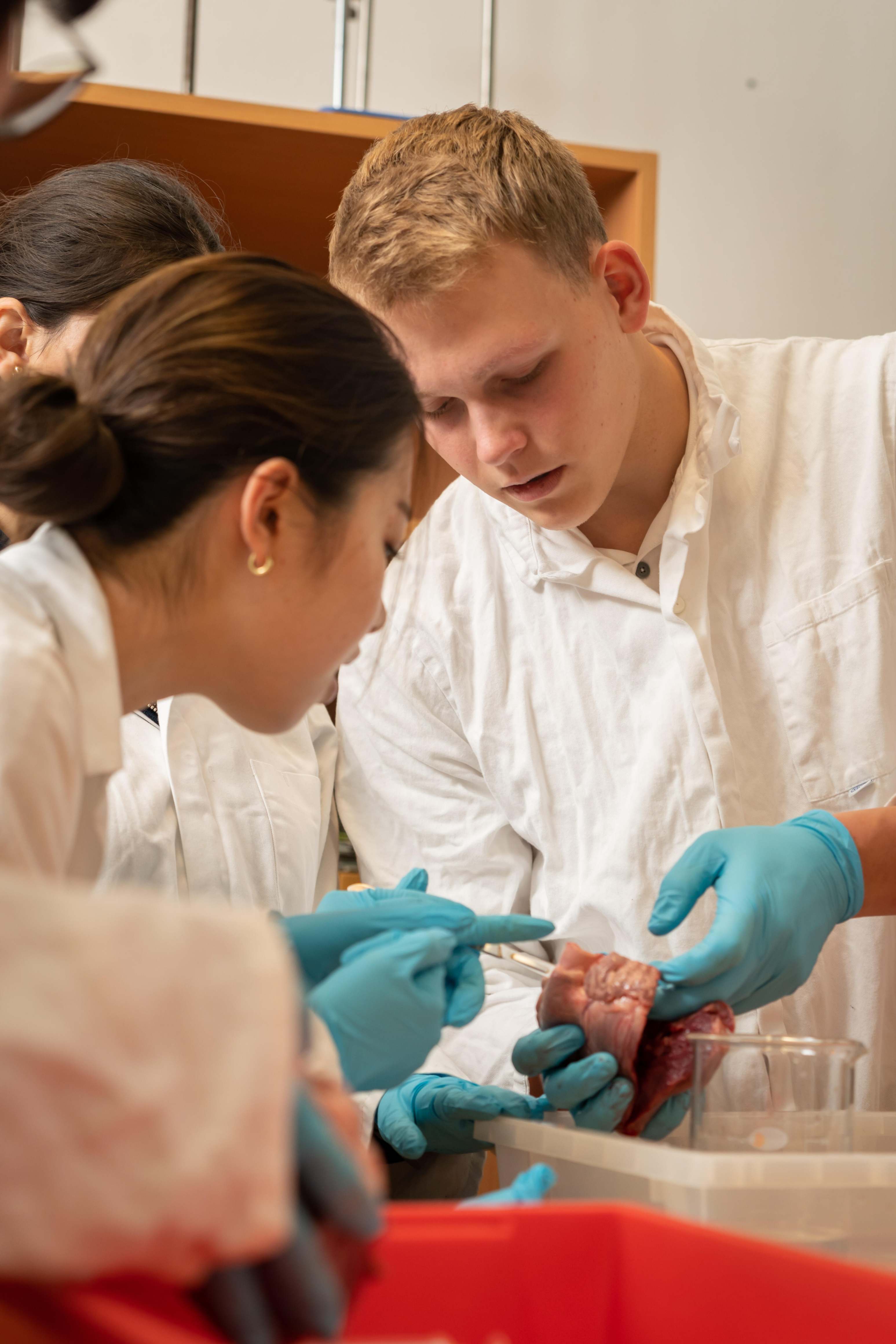 IB School Prague | Prague British International School - IB Diploma Programme