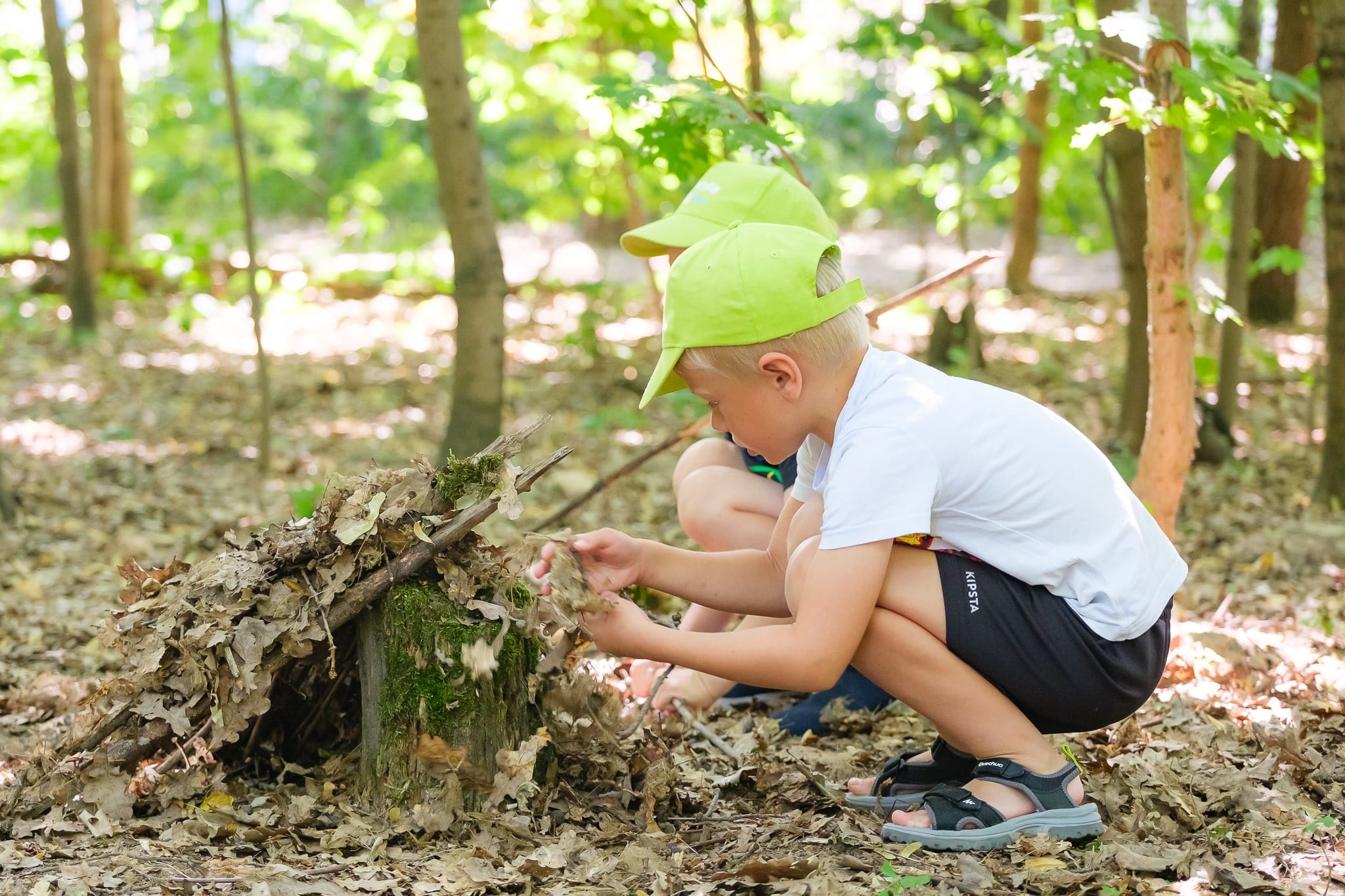 How Hands-on Learning Improves Students’ Potential | Prague British International School-How Hands-On Learning Improves Potential of Students-Forest School