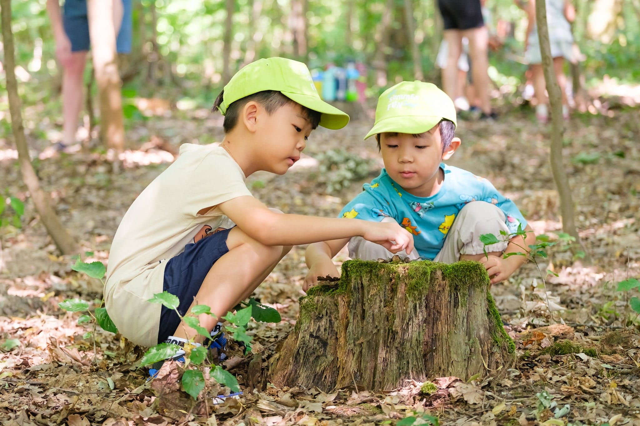 How Hands-on Learning Improves Students’ Potential | Prague British International School-How Hands-On Learning Improves Potential of Students-Forest School