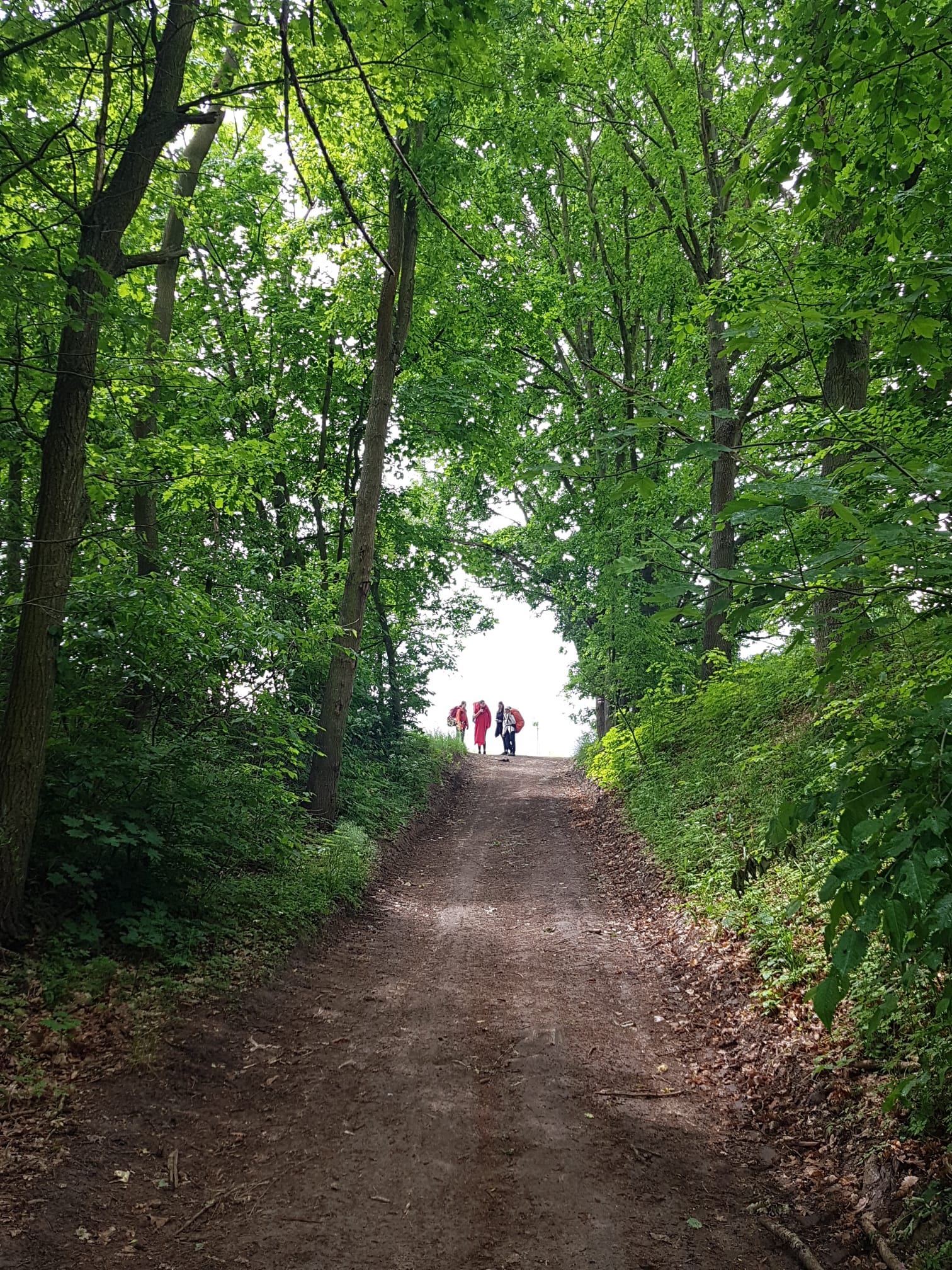 Duke of Edinburgh International Award - Carousel For News Detail