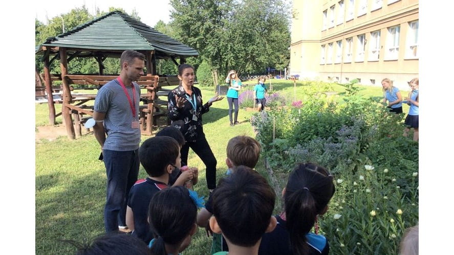 From Radishes to Eco-Parliament. PBIS Students Supporting Green Initiatives in School - from-radishes-to-eco-parliament-pbis-students-supporting-green-initiatives-in-school