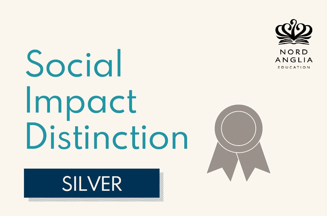 Silver Distinction for Social Impact - Silver Distinction for Social Impact